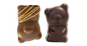 Sachet personnalisé de 2 oursons